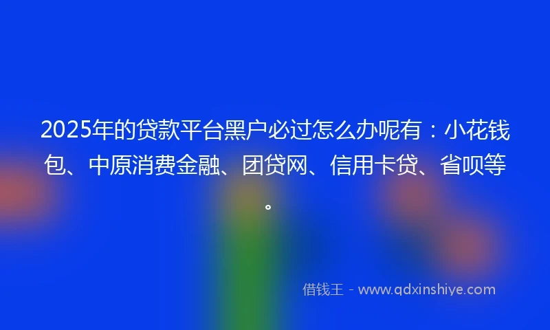 2025年的贷款平台黑户必过怎么办呢有：小花钱包、中原消费金融、团贷网、信用卡贷、省呗等。
