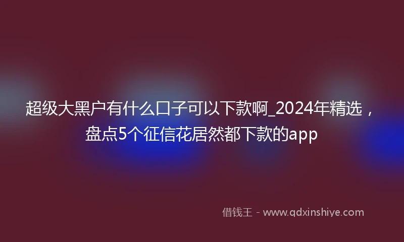 超级大黑户有什么口子可以下款啊_2024年精选，盘点5个征信花居然都下款的app