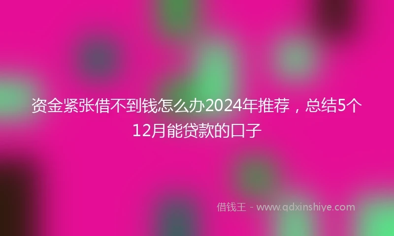 资金紧张借不到钱怎么办2024年推荐,总结5个12月能贷款的口子