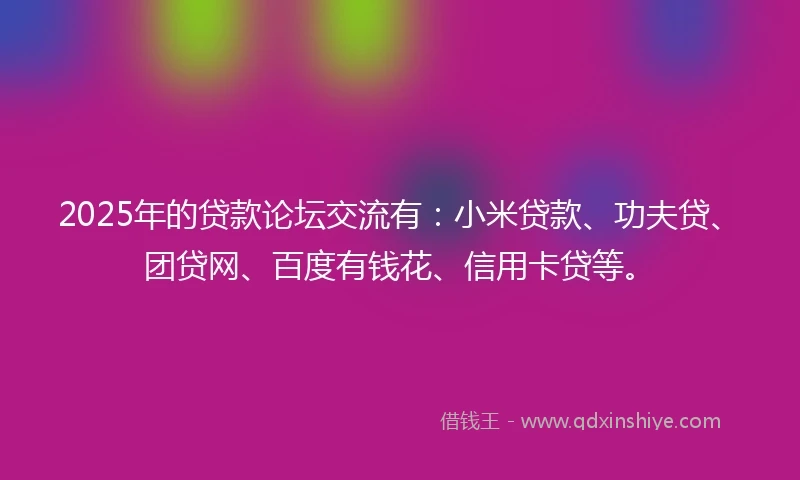 2025年的贷款论坛交流有：小米贷款、功夫贷、团贷网、百度有钱花、信用卡贷等。