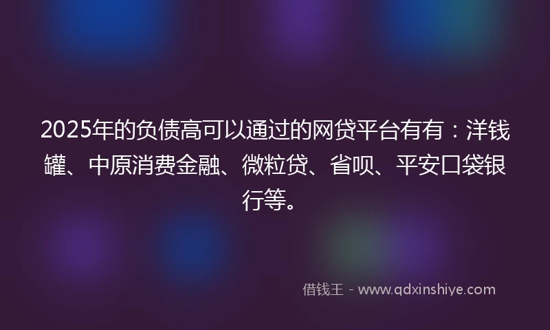 2025年的负债高可以通过的网贷平台有有：洋钱罐、中原消费金融、微粒贷、省呗、平安口袋银行等。