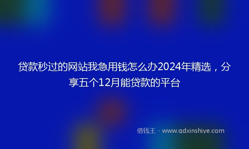 贷款秒过的网站我急用钱怎么办2024年精选，分享五个12月能贷款的平台