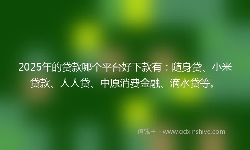 2025年的贷款哪个平台好下款有：随身贷、小米贷款、人人贷、中原消费金融、滴水贷等。