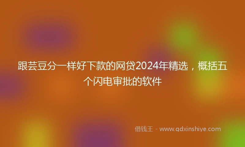 跟芸豆分一样好下款的网贷2024年精选，概括五个闪电审批的软件