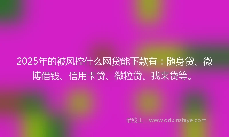 2025年的被风控什么网贷能下款有：随身贷、微博借钱、信用卡贷、微粒贷、我来贷等。
