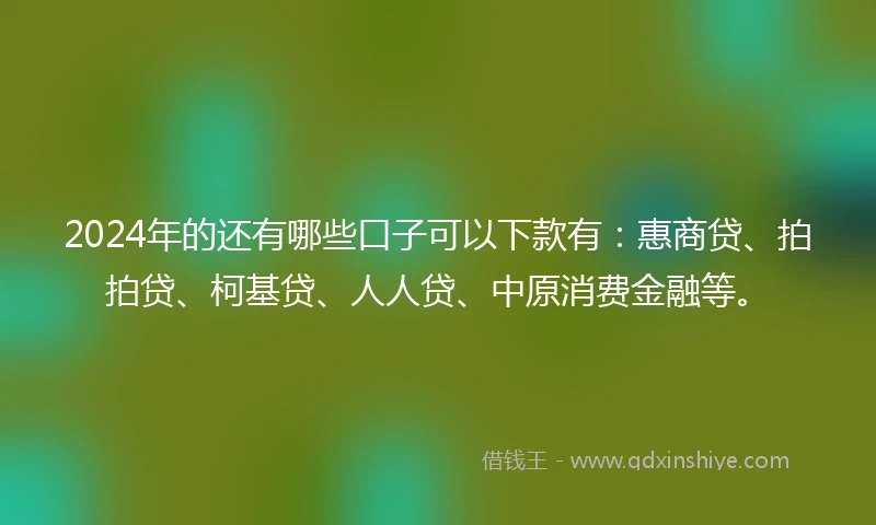 2024年的还有哪些口子可以下款有：惠商贷、拍拍贷、柯基贷、人人贷、中原消费金融等。
