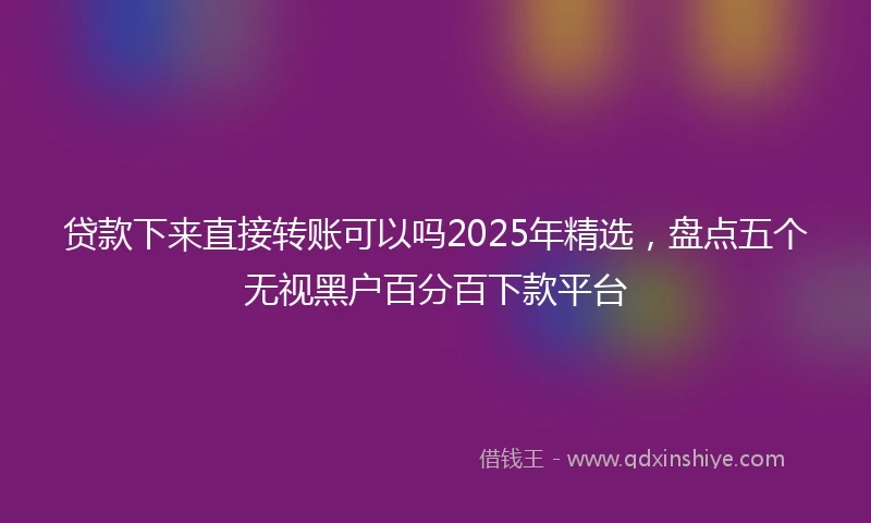 贷款下来直接转账可以吗2025年精选，盘点五个无视黑户百分百下款平台