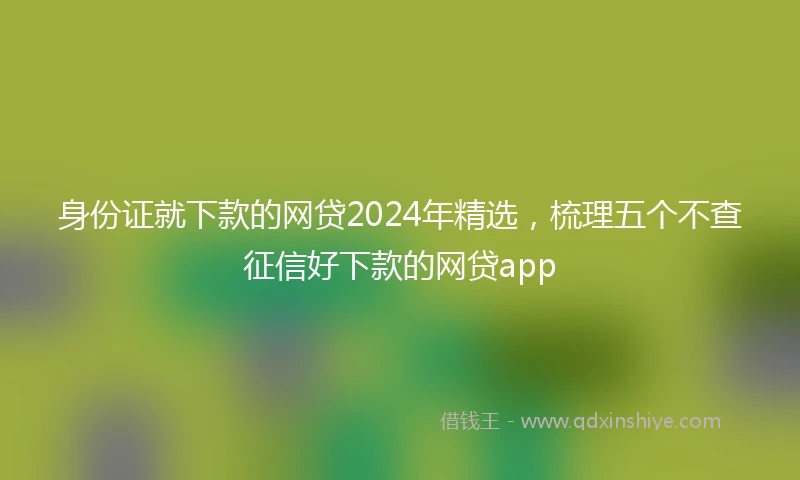 身份证就下款的网贷2024年精选，梳理五个不查征信好下款的网贷app