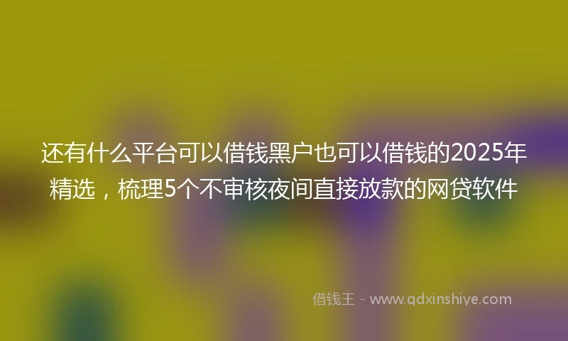 还有什么平台可以借钱黑户也可以借钱的2025年精选，梳理5个不审核夜间直接放款的网贷软件