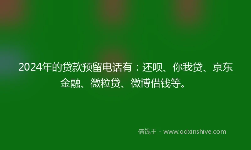 2024年的贷款预留电话有：还呗、你我贷、京东金融、微粒贷、微博借钱等。