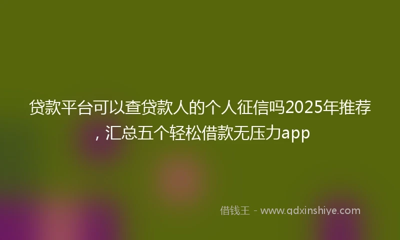 贷款平台可以查贷款人的个人征信吗2025年推荐，汇总五个轻松借款无压力app