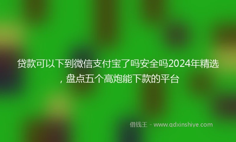 贷款可以下到微信支付宝了吗安全吗2024年精选,盘点五个高炮能下款的平台