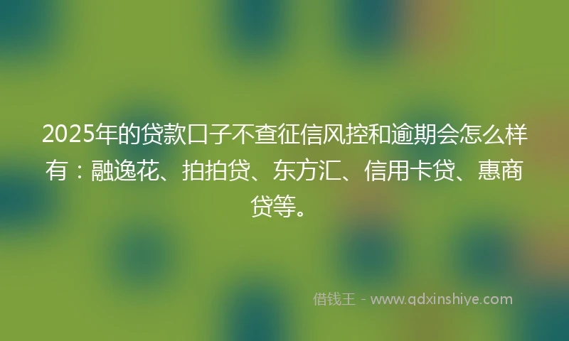 2025年的贷款口子不查征信风控和逾期会怎么样有：融逸花、拍拍贷、东方汇、信用卡贷、惠商贷等。