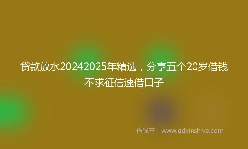 贷款放水20242025年精选，分享五个20岁借钱不求征信速借口子