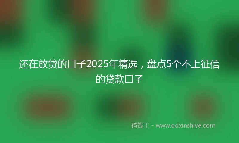 还在放贷的口子2025年精选，盘点5个不上征信的贷款口子