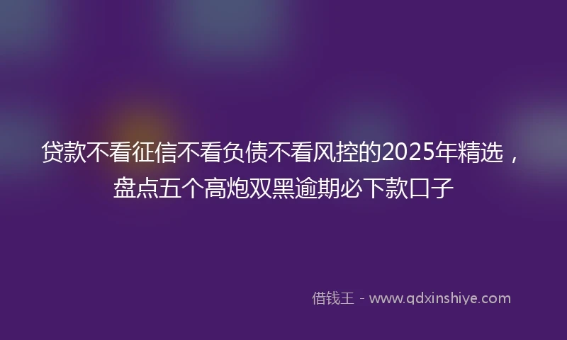 贷款不看征信不看负债不看风控的2025年精选，盘点五个高炮双黑逾期必下款口子