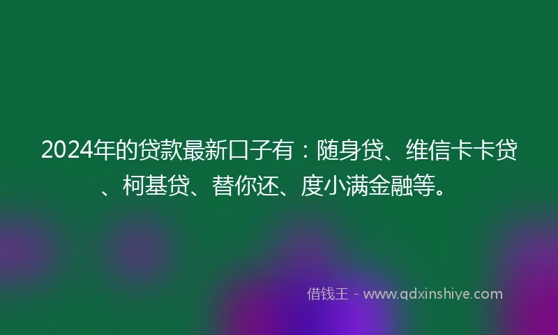 2024年的贷款最新口子有：随身贷、维信卡卡贷、柯基贷、替你还、度小满金融等。