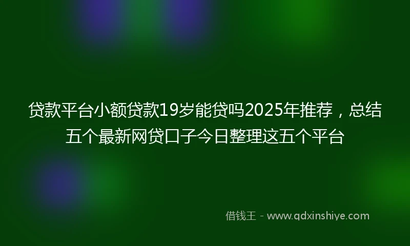 贷款平台小额贷款19岁能贷吗2025年推荐，总结五个最新网贷口子今日整理这五个平台