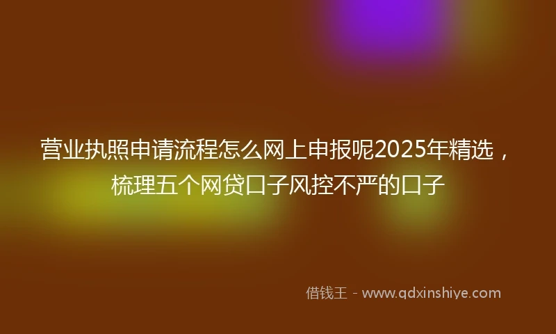 营业执照申请流程怎么网上申报呢2025年精选，梳理五个网贷口子风控不严的口子