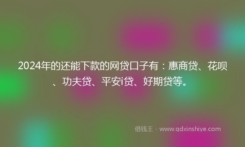 2024年的还能下款的网贷口子有：惠商贷、花呗、功夫贷、平安i贷、好期贷等。