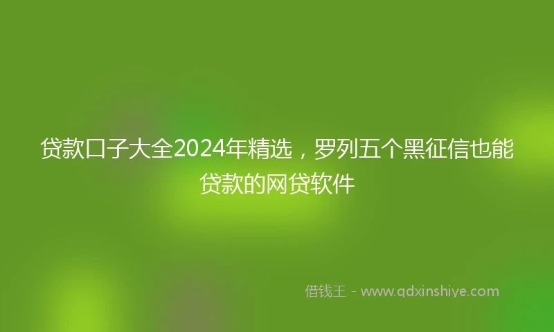 贷款口子大全2024年精选，罗列五个黑征信也能贷款的网贷软件