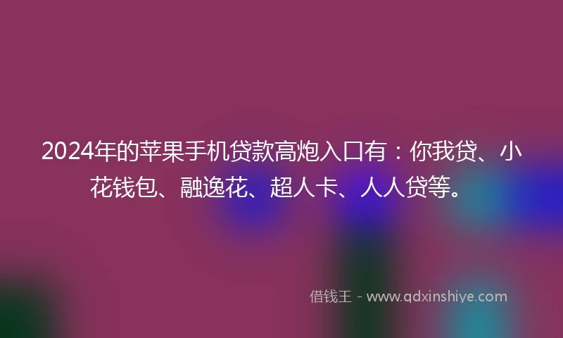 2024年的苹果手机贷款高炮入口有：你我贷、小花钱包、融逸花、超人卡、人人贷等。