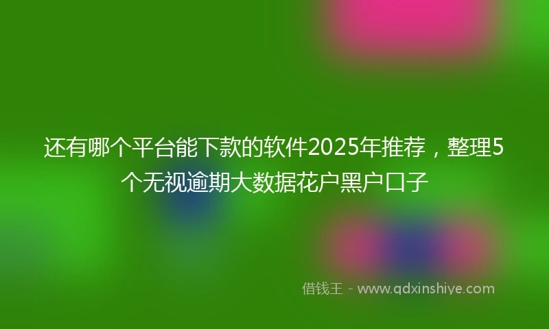 还有哪个平台能下款的软件2025年推荐，整理5个无视逾期大数据花户黑户口子