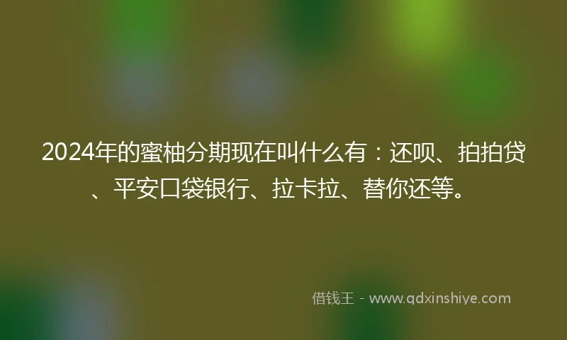 2024年的蜜柚分期现在叫什么有：还呗、拍拍贷、平安口袋银行、拉卡拉、替你还等。
