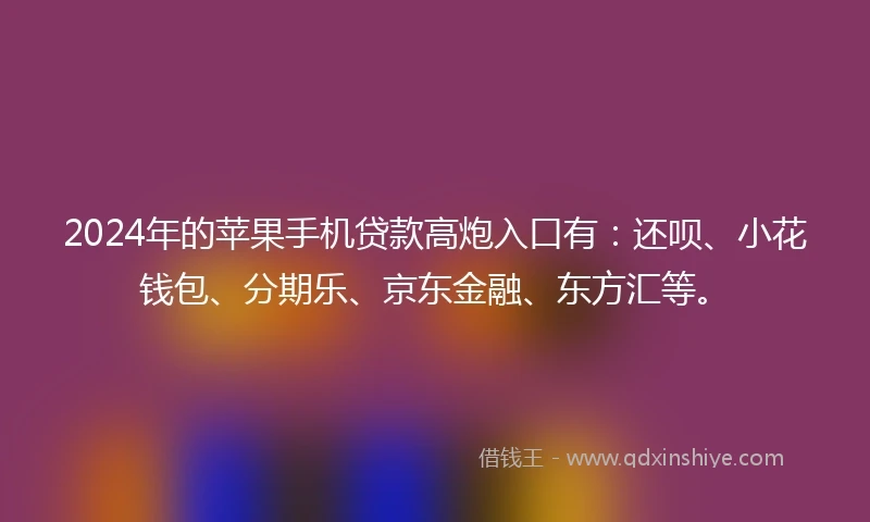 2024年的苹果手机贷款高炮入口有：还呗、小花钱包、分期乐、京东金融、东方汇等。