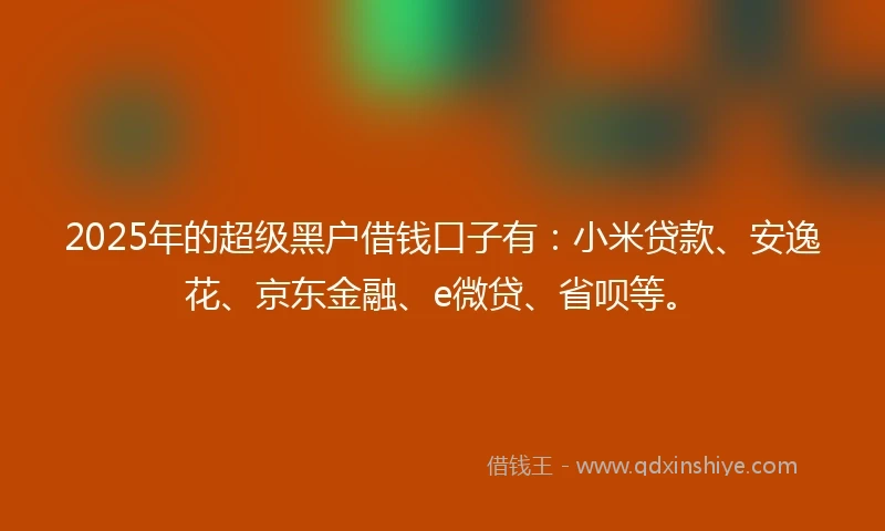 2025年的超级黑户借钱口子有：小米贷款、安逸花、京东金融、e微贷、省呗等。