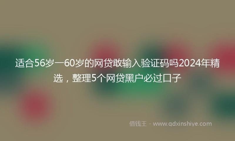 适合56岁一60岁的网贷敢输入验证码吗2024年精选，整理5个网贷黑户必过口子
