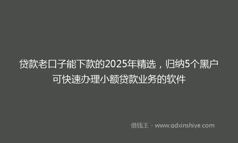 贷款老口子能下款的2025年精选，归纳5个黑户可快速办理小额贷款业务的软件