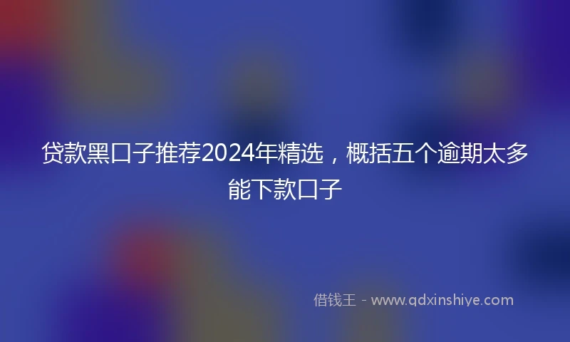 贷款黑口子推荐2024年精选，概括五个逾期太多能下款口子