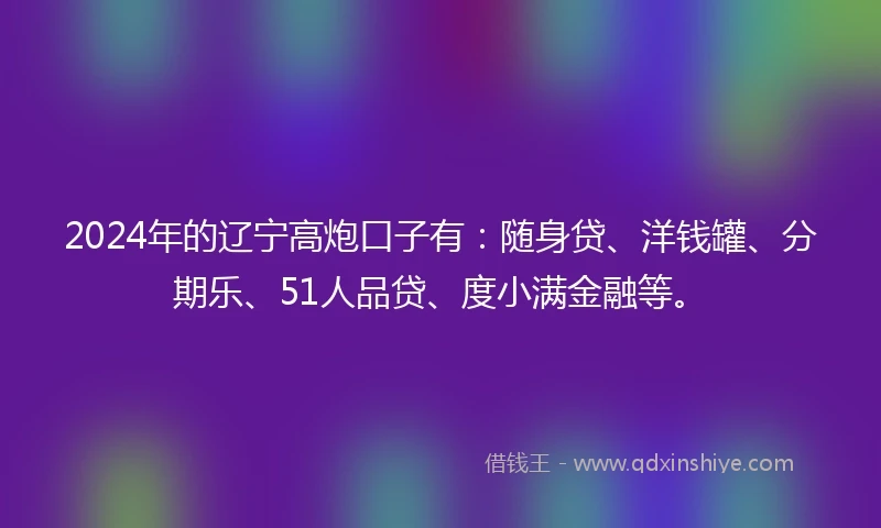 2024年的辽宁高炮口子有：随身贷、洋钱罐、分期乐、51人品贷、度小满金融等。