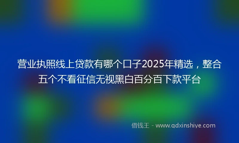 营业执照线上贷款有哪个口子2025年精选，整合五个不看征信无视黑白百分百下款平台