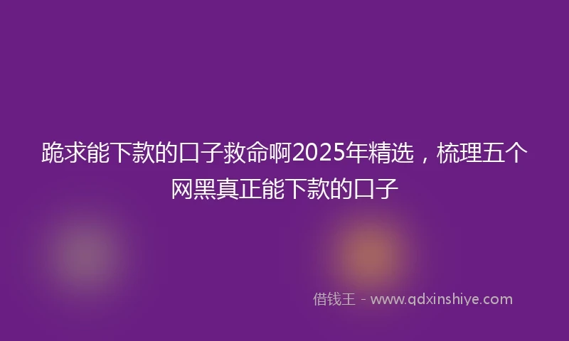跪求能下款的口子救命啊2025年精选，梳理五个网黑真正能下款的口子