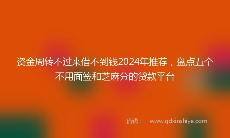 资金周转不过来借不到钱2024年推荐，盘点五个不用面签和芝麻分的贷款平台