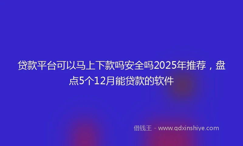 贷款平台可以马上下款吗安全吗2025年推荐，盘点5个12月能贷款的软件