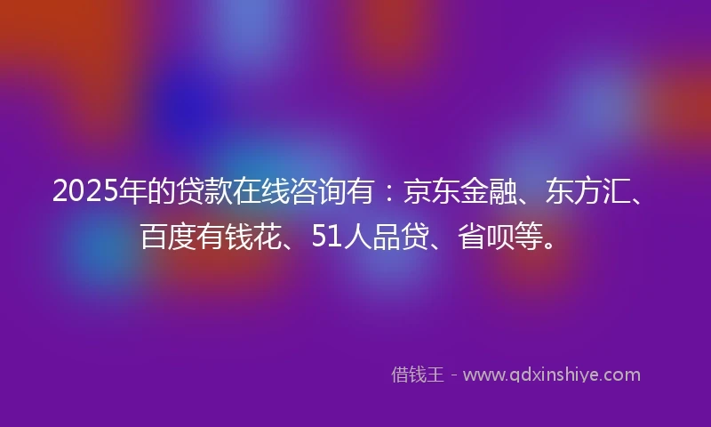 2025年的贷款在线咨询有：京东金融、东方汇、百度有钱花、51人品贷、省呗等。