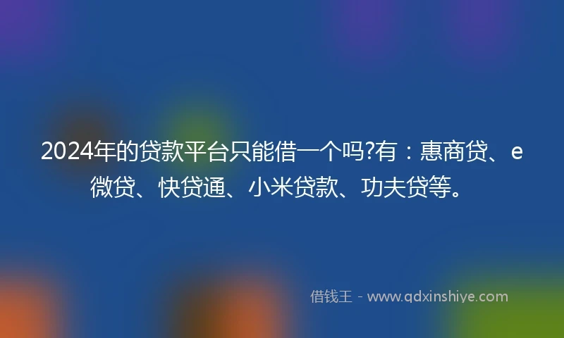 2024年的贷款平台只能借一个吗?有：惠商贷、e微贷、快贷通、小米贷款、功夫贷等。