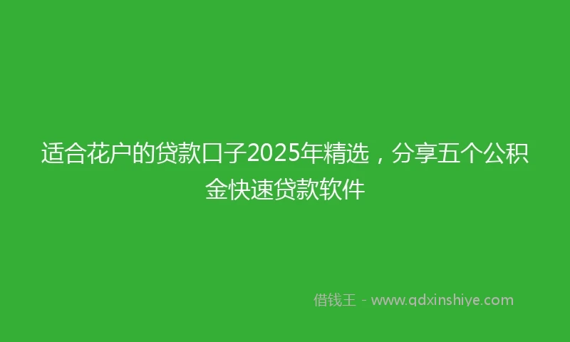 适合花户的贷款口子2025年精选，分享五个公积金快速贷款软件