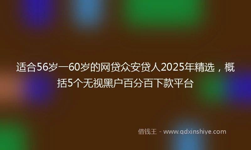 适合56岁一60岁的网贷众安贷人2025年精选，概括5个无视黑户百分百下款平台