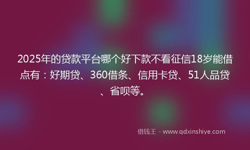 2025年的贷款平台哪个好下款不看征信18岁能借点有：好期贷、360借条、信用卡贷、51人品贷、省呗等。