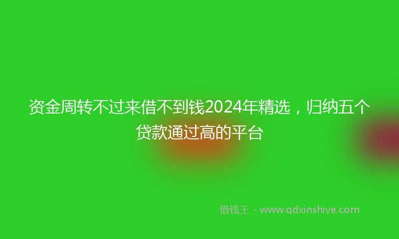 资金周转不过来借不到钱2024年精选，归纳五个贷款通过高的平台