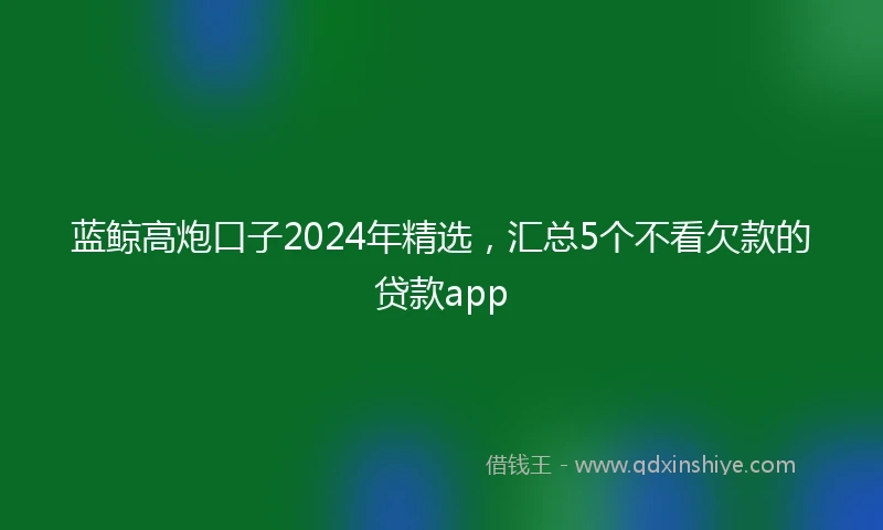 蓝鲸高炮口子2024年精选，汇总5个不看欠款的贷款app