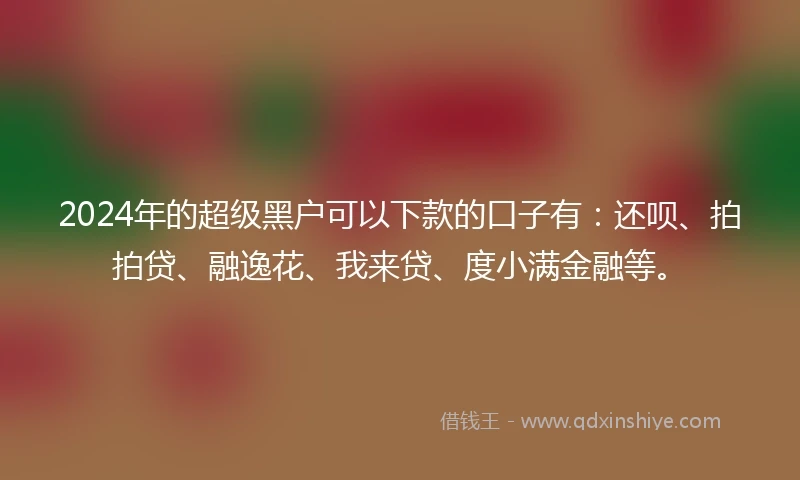 2024年的超级黑户可以下款的口子有：还呗、拍拍贷、融逸花、我来贷、度小满金融等。