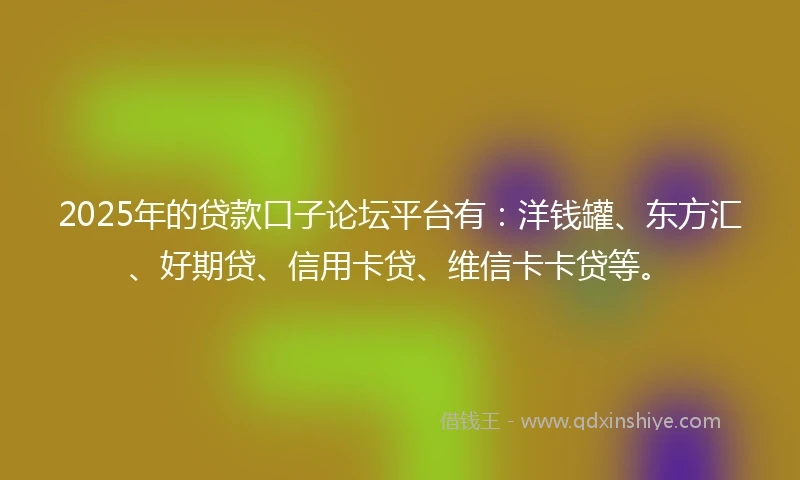 2025年的贷款口子论坛平台有:洋钱罐、东方汇、好期贷、信用卡贷、维信卡卡贷等。