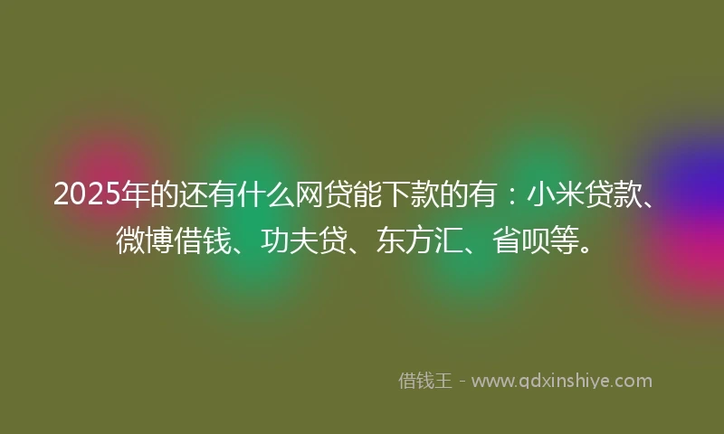 2025年的还有什么网贷能下款的有：小米贷款、微博借钱、功夫贷、东方汇、省呗等。