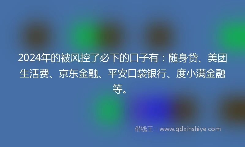 2024年的被风控了必下的口子有：随身贷、美团生活费、京东金融、平安口袋银行、度小满金融等。