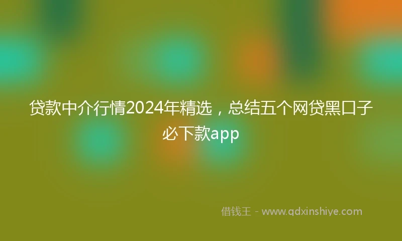 贷款中介行情2024年精选，总结五个网贷黑口子必下款app